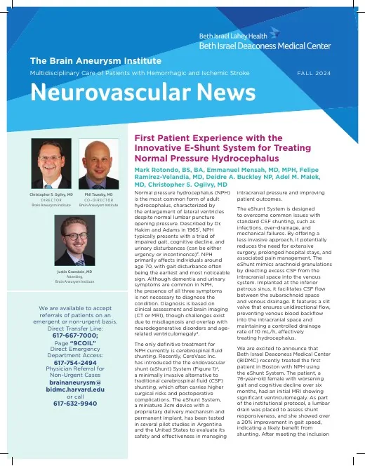 Cover of the Fall 2024 Neurovascular News