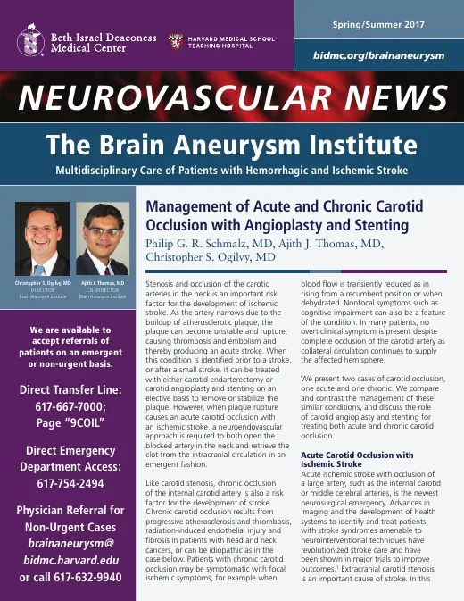 Cover of the Spring-Summer 2017 Neurovascular News
